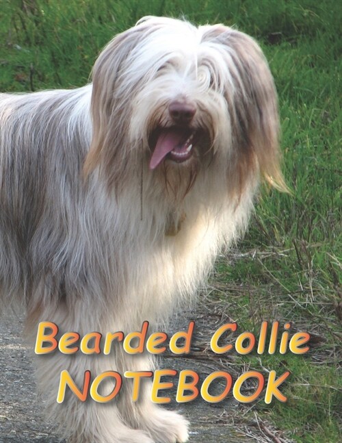 Bearded Collie NOTEBOOK: notebooks and journals 110 pages (8.5x11) (Paperback)