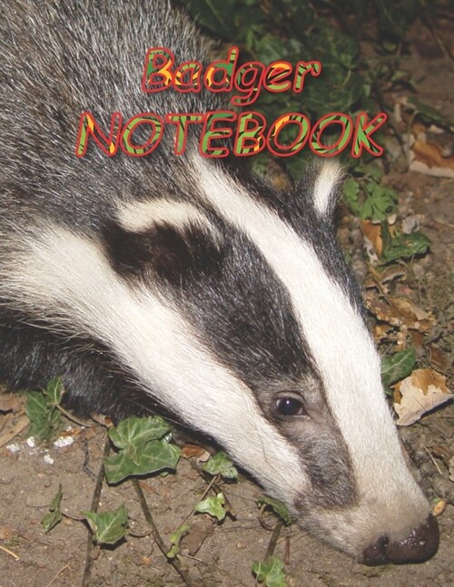 Badger NOTEBOOK: notebooks and journals 110 pages (8.5x11) (Paperback)