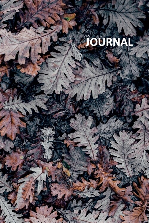 Journal: Autumn personality Cool Bullet Journal Dot Grid Daily Planner Student for researching best places to see fall colors i (Paperback)
