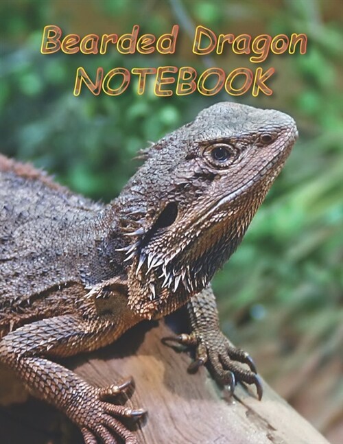Bearded Dragon NOTEBOOK: notebooks and journals 110 pages (8.5x11) (Paperback)