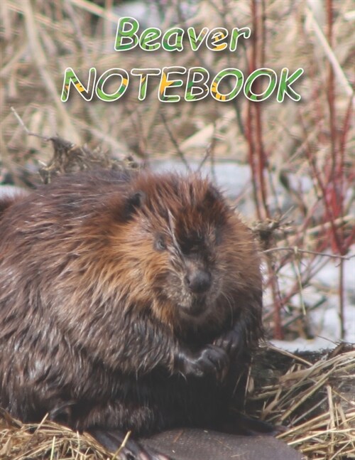 Beaver NOTEBOOK: notebooks and journals 110 pages (8.5x11) (Paperback)