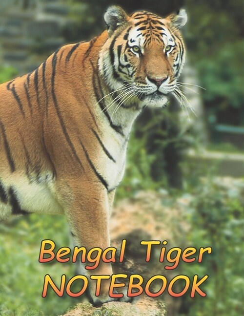 Bengal Tiger NOTEBOOK: notebooks and journals 110 pages (8.5x11) (Paperback)