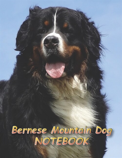 Bernese Mountain Dog NOTEBOOK: notebooks and journals 110 pages (8.5x11) (Paperback)