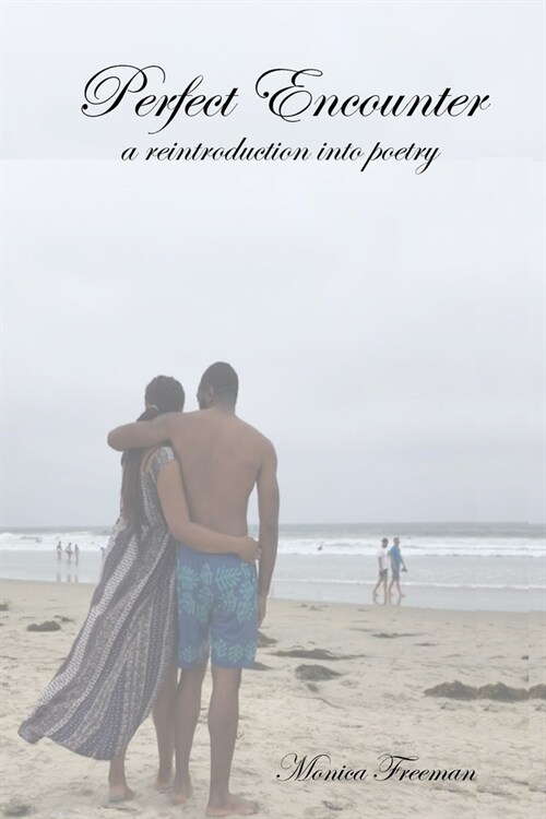 Perfect Encounter: a reintroduction into poetry (Paperback)