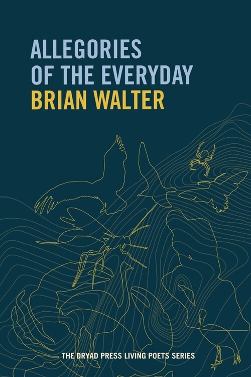 Allegories of the Everyday (Paperback)