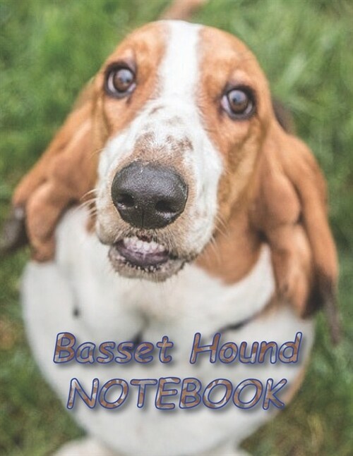 Basset Hound NOTEBOOK: notebooks and journals 110 pages (8.5x11) (Paperback)