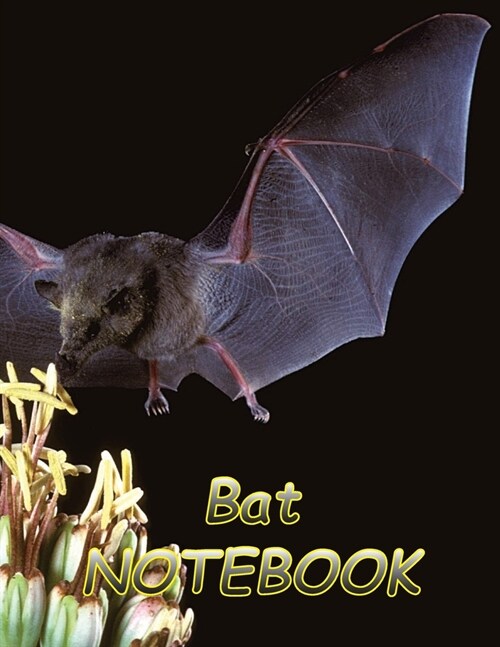 Bat NOTEBOOK: notebooks and journals 110 pages (8.5x11) (Paperback)