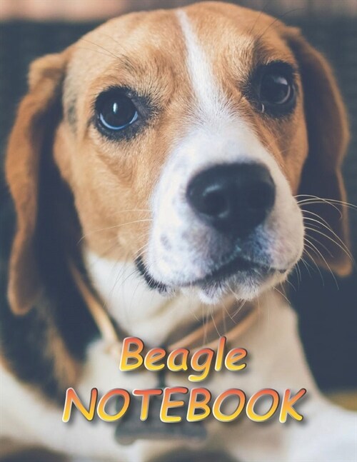 Beagle NOTEBOOK: notebooks and journals 110 pages (8.5x11) (Paperback)