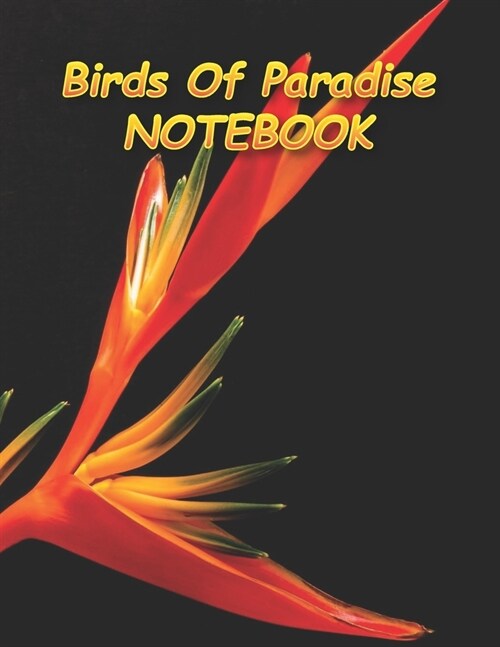 Birds Of Paradise NOTEBOOK: notebooks and journals 110 pages (8.5x11) (Paperback)