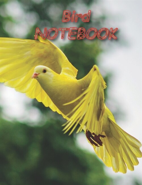 Bird NOTEBOOK: notebooks and journals 110 pages (8.5x11) (Paperback)