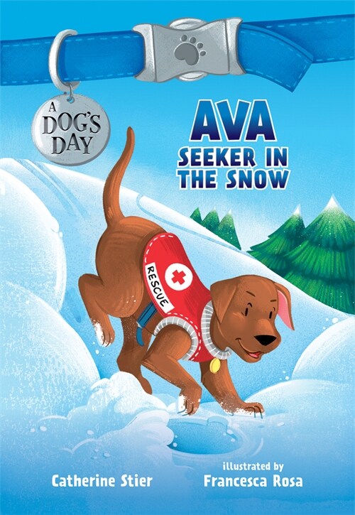 I Am Ava, Seeker in the Snow: Volume 2 (Hardcover)