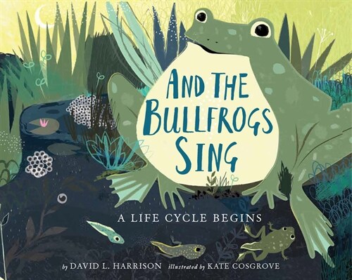 And the Bullfrogs Sing: A Life Cycle Begins (Paperback)