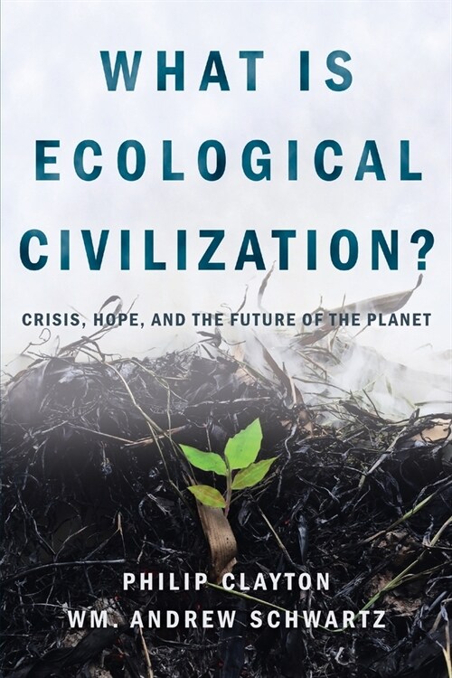 What Is Ecological Civilization: Crisis, Hope, and the Future of the Planet (Paperback)