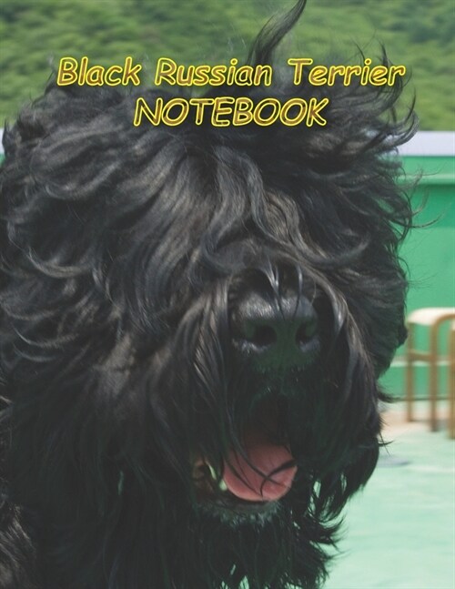 Black Russian Terrier NOTEBOOK: notebooks and journals 110 pages (8.5x11) (Paperback)
