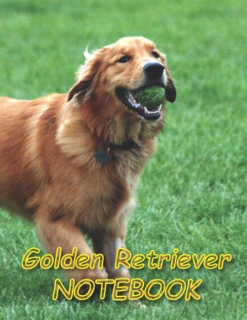 Golden Retriever NOTEBOOK: Notebooks and Journals 110 pages (8.5x11) (Paperback)