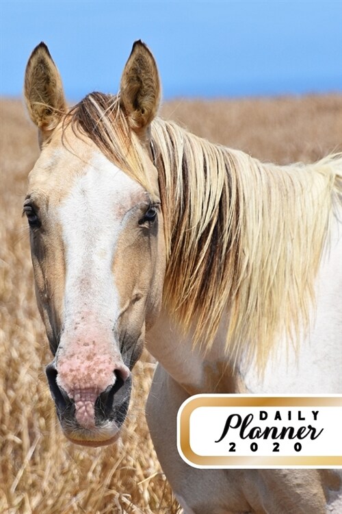 Daily Planner 2020: Horse Enthusiast Equestrian Horse Lover 52 Weeks 365 Day Daily Planner for Year 2020 6x9 Everyday Organizer Monday to (Paperback)