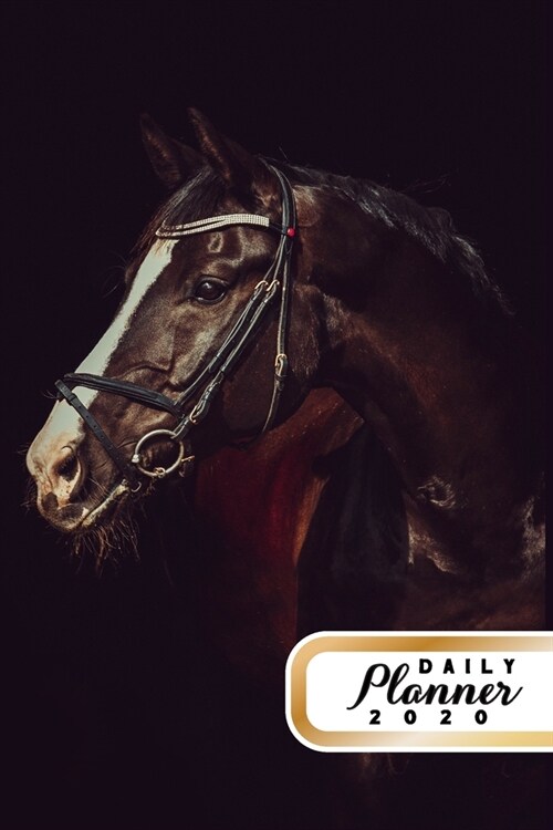 Daily Planner 2020: Dark Brown Horse Enthusiast Equestrian Horse Lover 52 Weeks 365 Day Daily Planner for Year 2020 6x9 Everyday Organizer (Paperback)