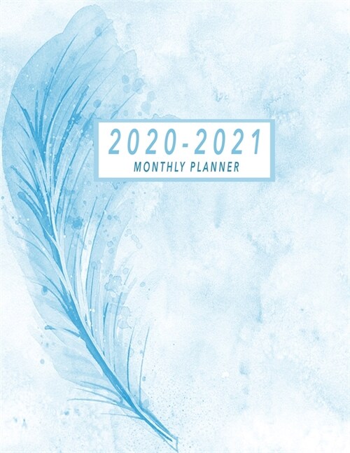 2020-2021 Monthly Planner: 2 Year Jan 2020 - Dec 2021 Daily Weekly And Monthly Planner With Holidays, 24-Month Calendar 2 Year Monthly Planner Ca (Paperback)