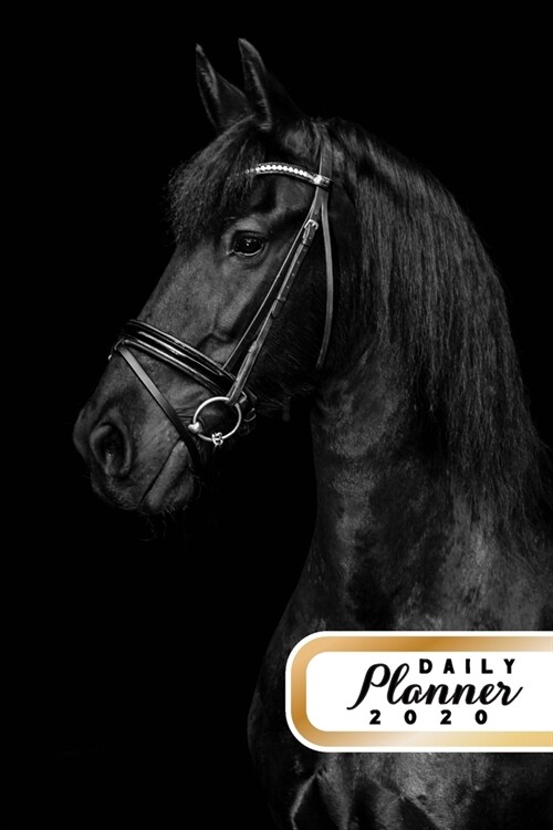 Daily Planner 2020: Black Horse Enthusiast Equestrian Horse Lover 52 Weeks 365 Day Daily Planner for Year 2020 6x9 Everyday Organizer Mond (Paperback)