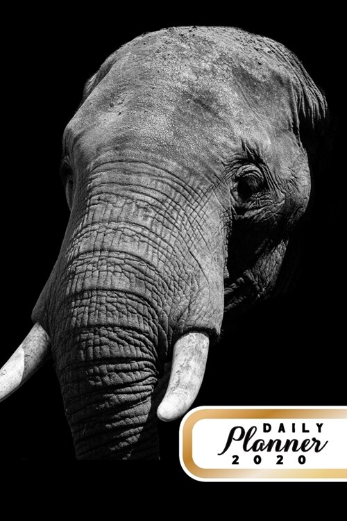 Daily Planner 2020: Elephant 52 Weeks 365 Day Daily Planner for Year 2020 6x9 Everyday Organizer Monday to Sunday Life Plan Academic Sched (Paperback)