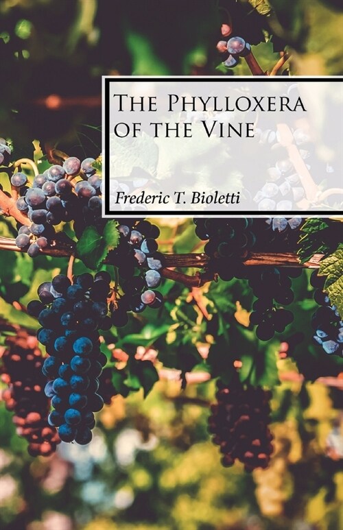 The Phylloxera of the Vine (Paperback)