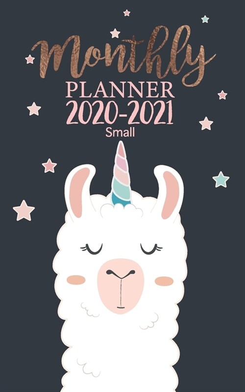 Monthly planner 2020-2021 Small: five year planner 2020-2024 small Appointment notebook 5 the monthly Small This book size: 5x8 inch Not pocket size (Paperback)