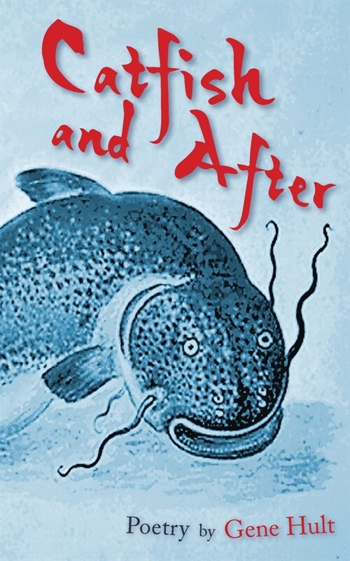 Catfish and After (Paperback)