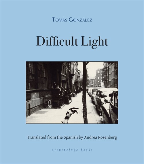 Difficult Light (Paperback)