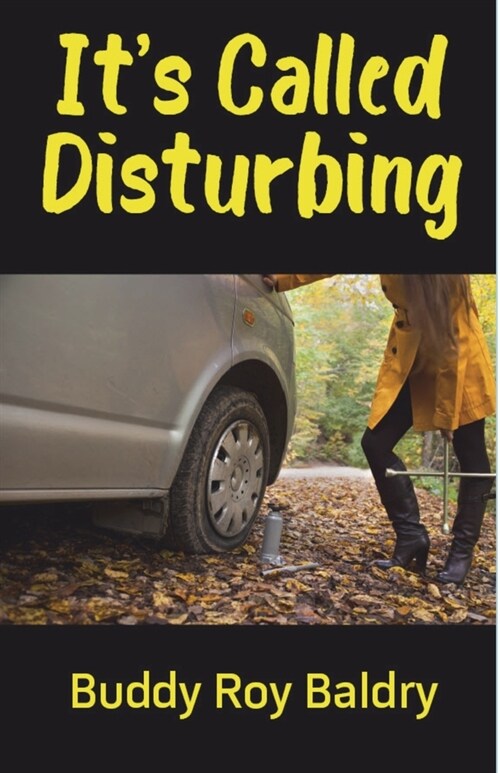 Its Called Disturbing (Paperback, 2)