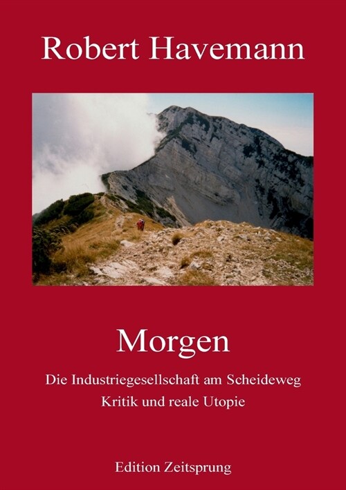 Morgen: Die Industriegesellschaft am Scheideweg. Kritik und reale Utopie (Paperback)