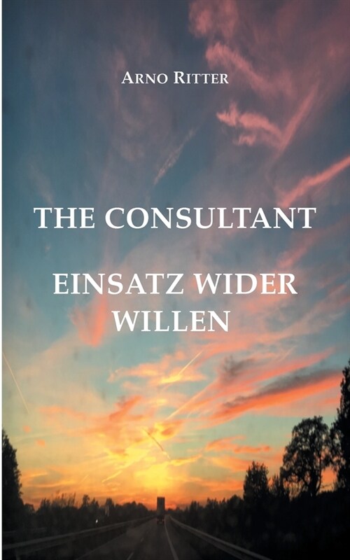 The Consultant: Einsatz wider Willen (Paperback)