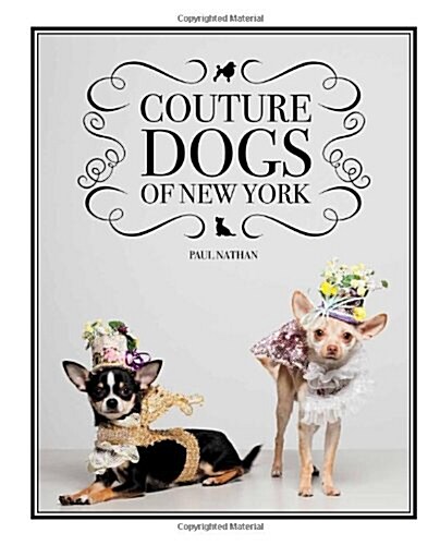 Couture Dogs of New York (Hardcover)