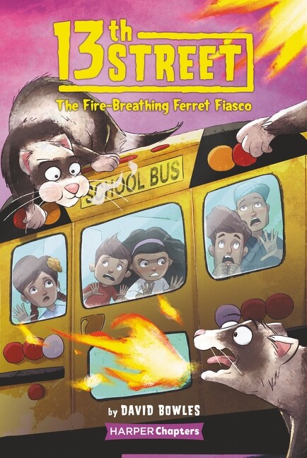 13th Street #2: The Fire-Breathing Ferret Fiasco (Paperback)