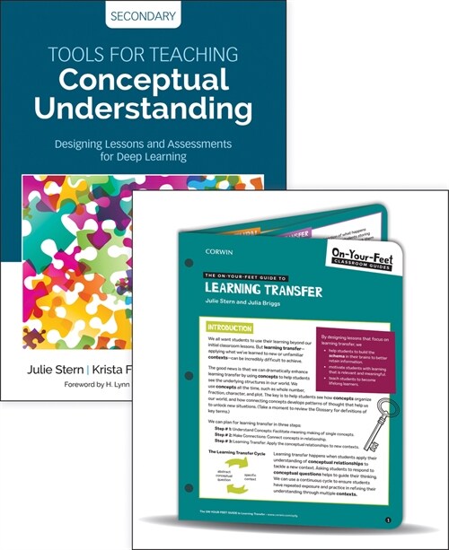 Bundle: Stern: Tools for Teaching Conceptual Understanding, Secondary + Stern: On-Your-Feet Guide to Learning Transfer (Paperback)