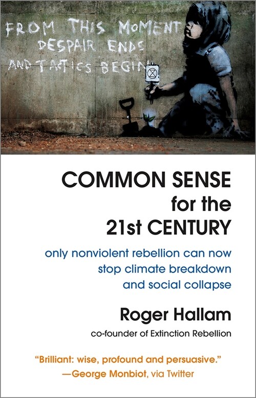 Common Sense for the 21st Century: Only Nonviolent Rebellion Can Now Stop Climate Breakdown and Social Collapse (Paperback)