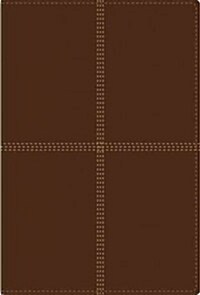 Bilingual Bible-PR-NIV/Rvr 1960 (Imitation Leather)