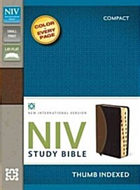 Study Bible-NIV-Compact (Imitation Leather)