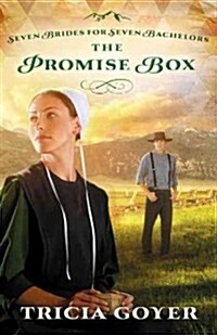 The Promise Box (Paperback)