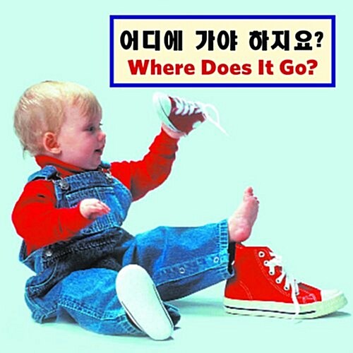 Kor/English Where Does It Go (Hardcover)