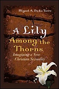 A Lily Among the Thorns: Imagining a New Christian Sexuality (Paperback)