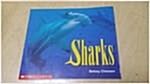 [중고] Sharks (Paperback)