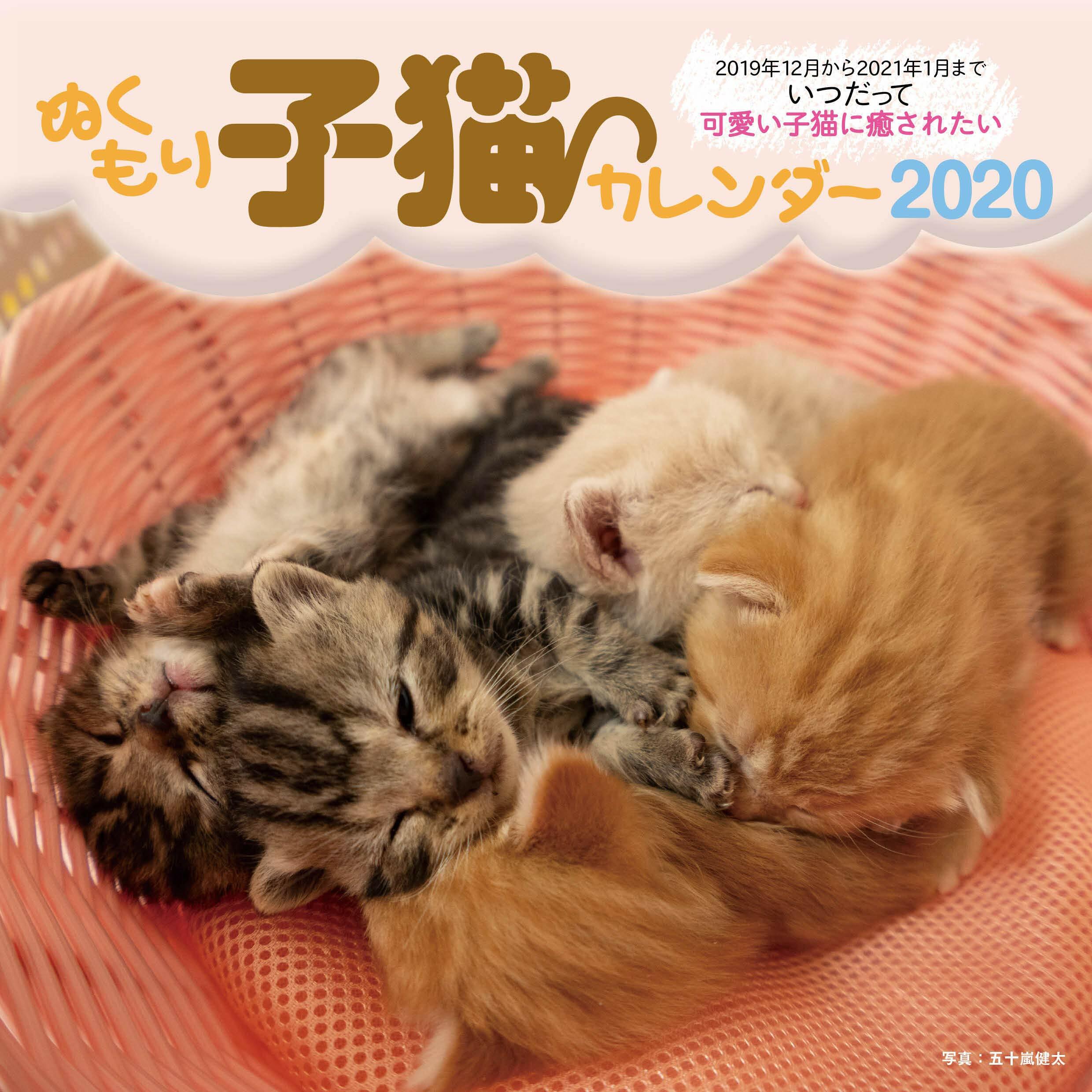 ぬくもり子猫カレンダ- (2020)