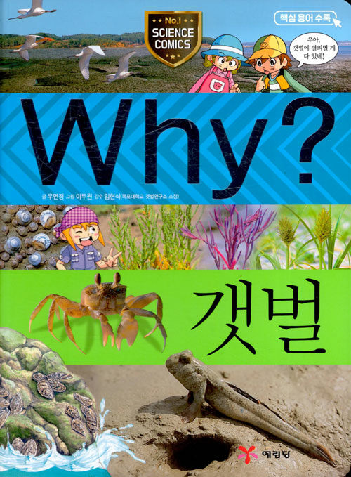 Why? 갯벌