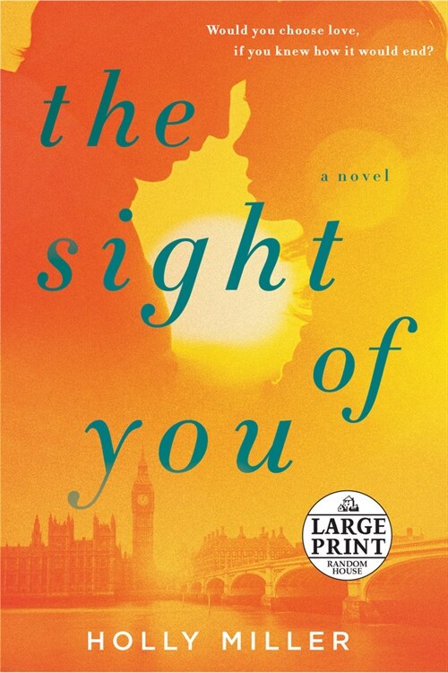 The Sight of You (Paperback)