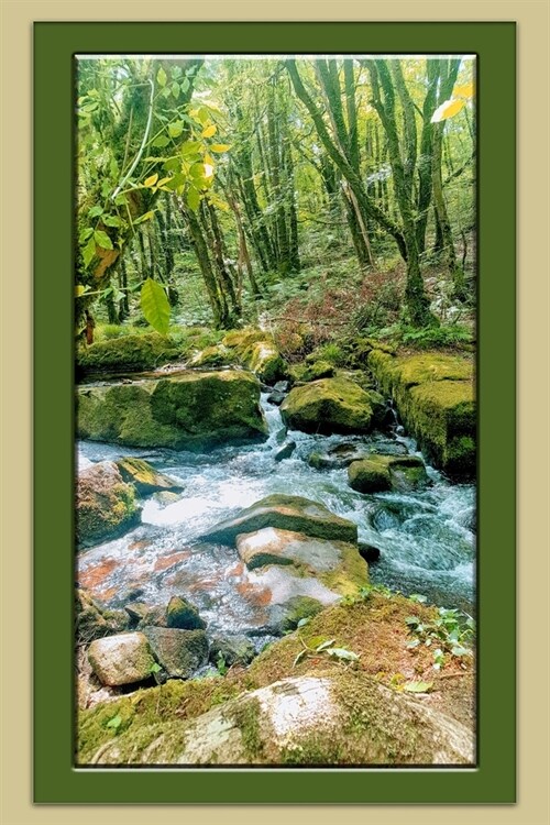 Golitha Falls, Cornwall Notebook: Cornwall Views Notebook, Journal, Gift Book (Places and Landscapes Notebooks) (Paperback)