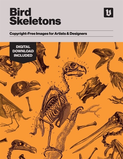 Bird Skeletons: Copyright-Free Images for Artists & Designers (Paperback)