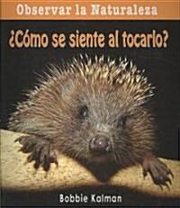 풠?o Se Siente Al Tocarlo? (How Does It Feel?) (Paperback)