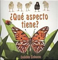 풯u?Aspecto Tiene? (How Does It Look?) (Paperback)