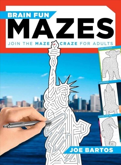 Brain Fun Mazes: Join the Maze Craze for Adults! (Paperback)