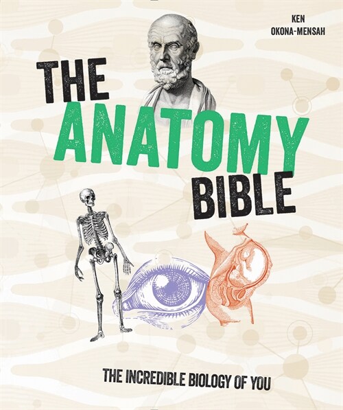 The Anatomy Bible: The Incredible Biology of You (Paperback)